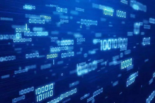 别被误解了！计算机专业并非只有编程和开发