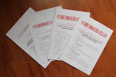 专业翻译公司计算机技术开发领域文件翻译流程